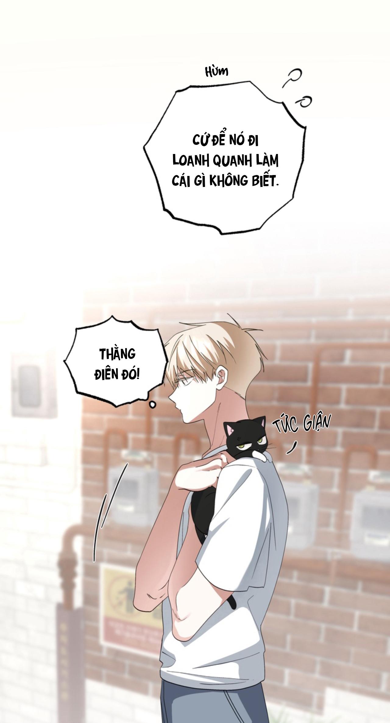 Đọc truyện XIN HÃY YÊU THƯƠNG DÙ TÔI LÀ CHUỘT - Chapter 6