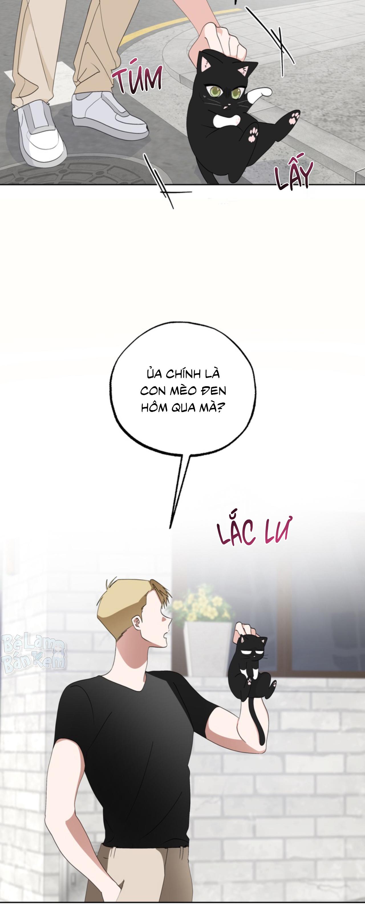 Đọc truyện XIN HÃY YÊU THƯƠNG DÙ TÔI LÀ CHUỘT - Chapter 6