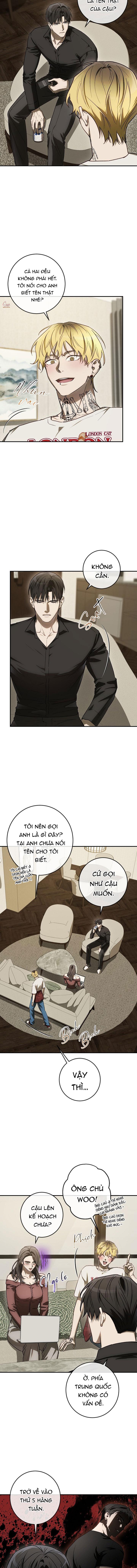 Đọc truyện BẢO VẬT - Chapter 36