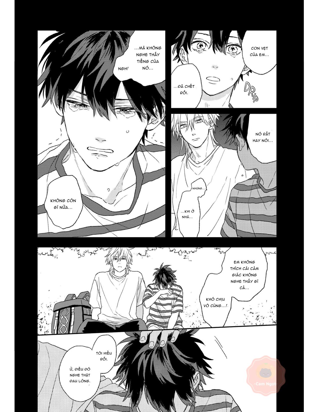 Đọc truyện Báu Vật Của Takara - Chapter 1