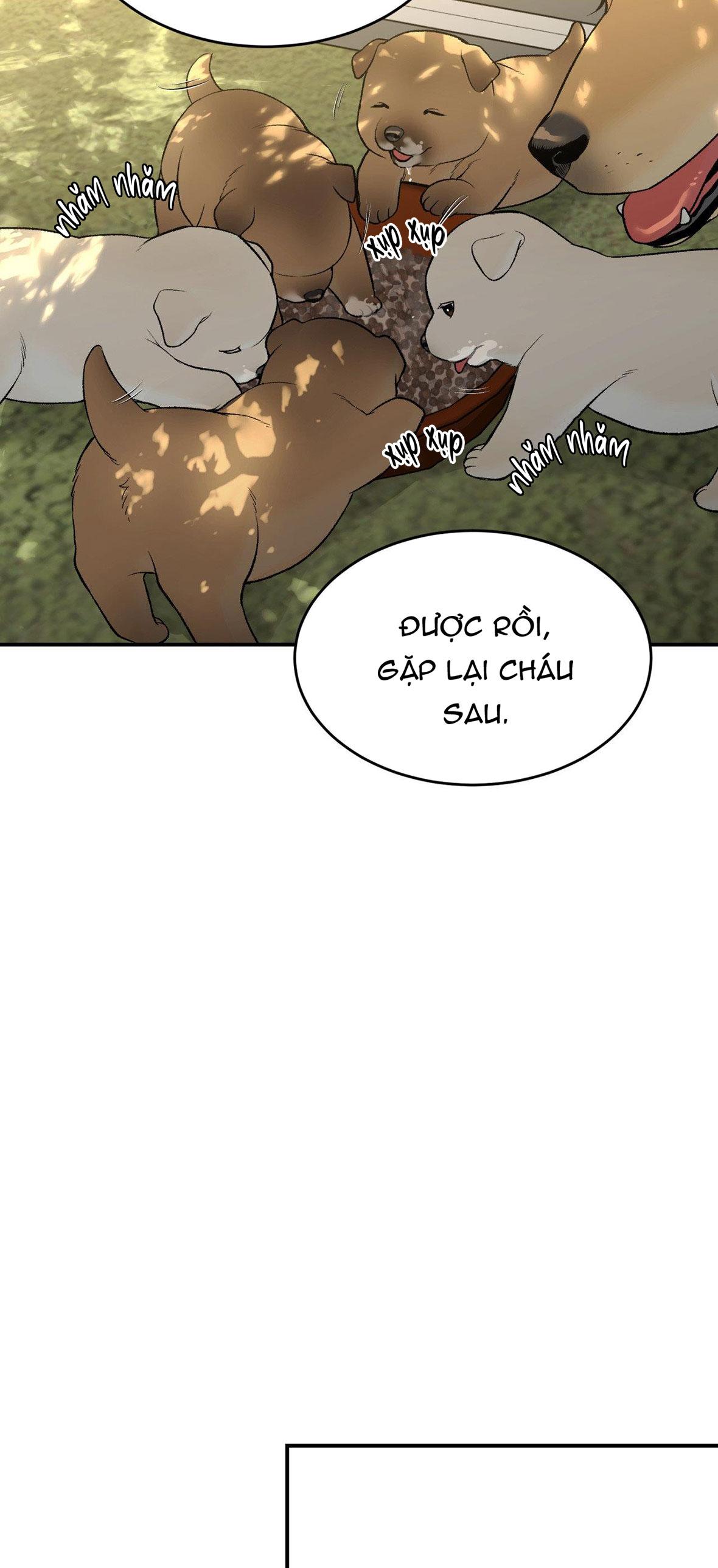 Đọc truyện ĐIỀM RỦI - Chapter 76