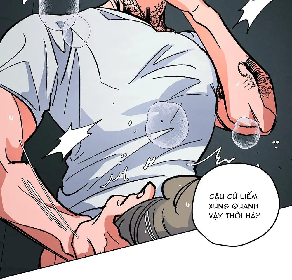 Đọc truyện Kế Hoạch Trốn Thoát - Chapter 5