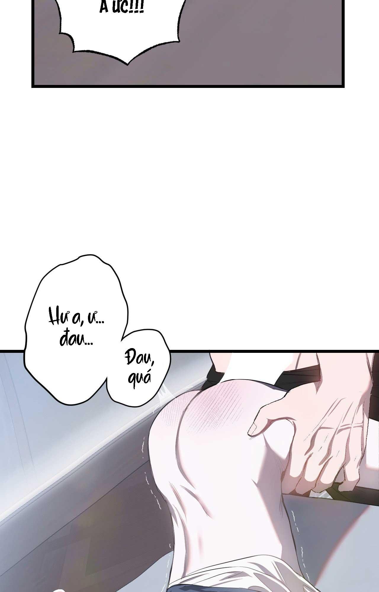 Đọc truyện (ABO) VẬT TẾ THẦN - Chapter 12