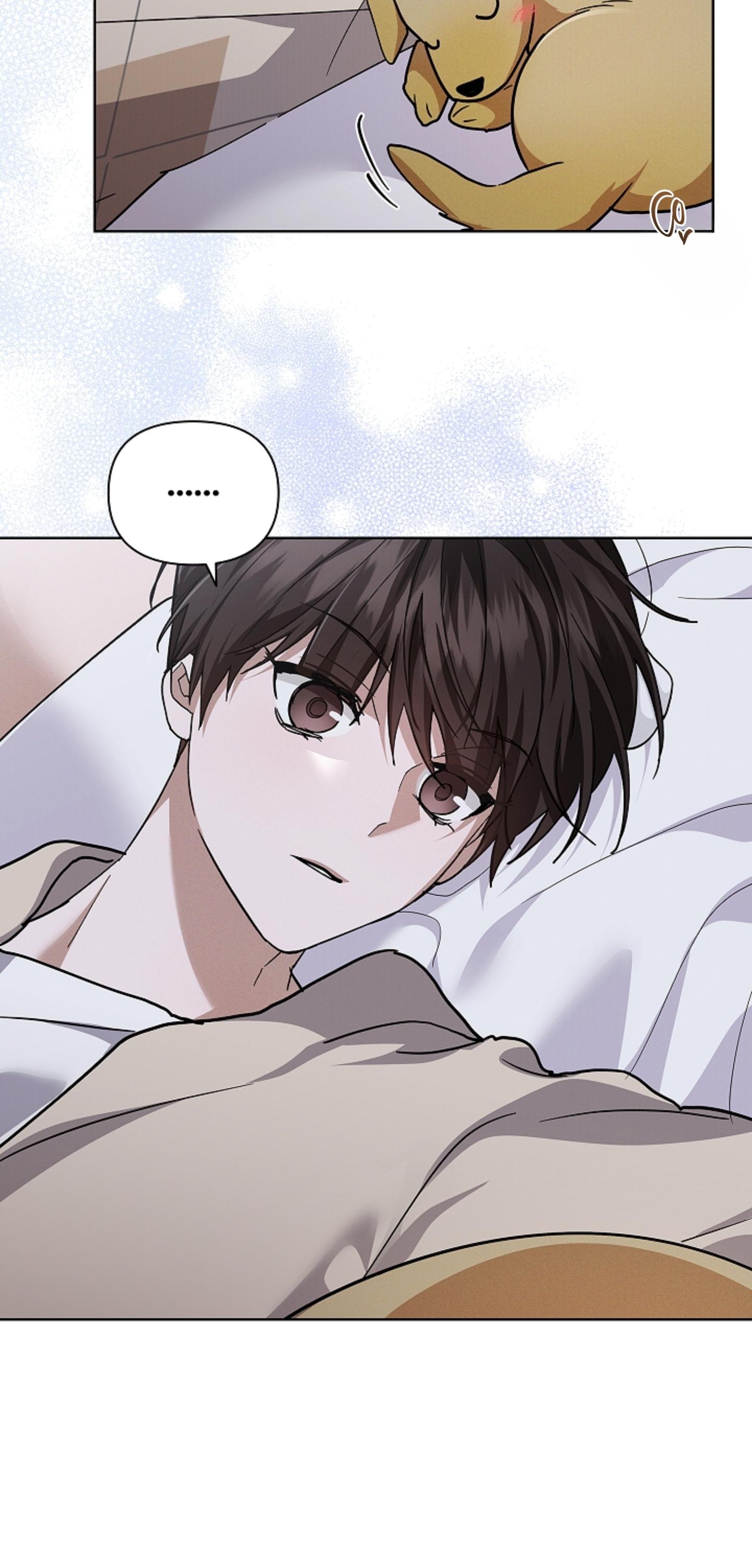 Đọc truyện ĐỪNG CHẠM VÀO CÚN CON CỦA TÔI - Chapter 51