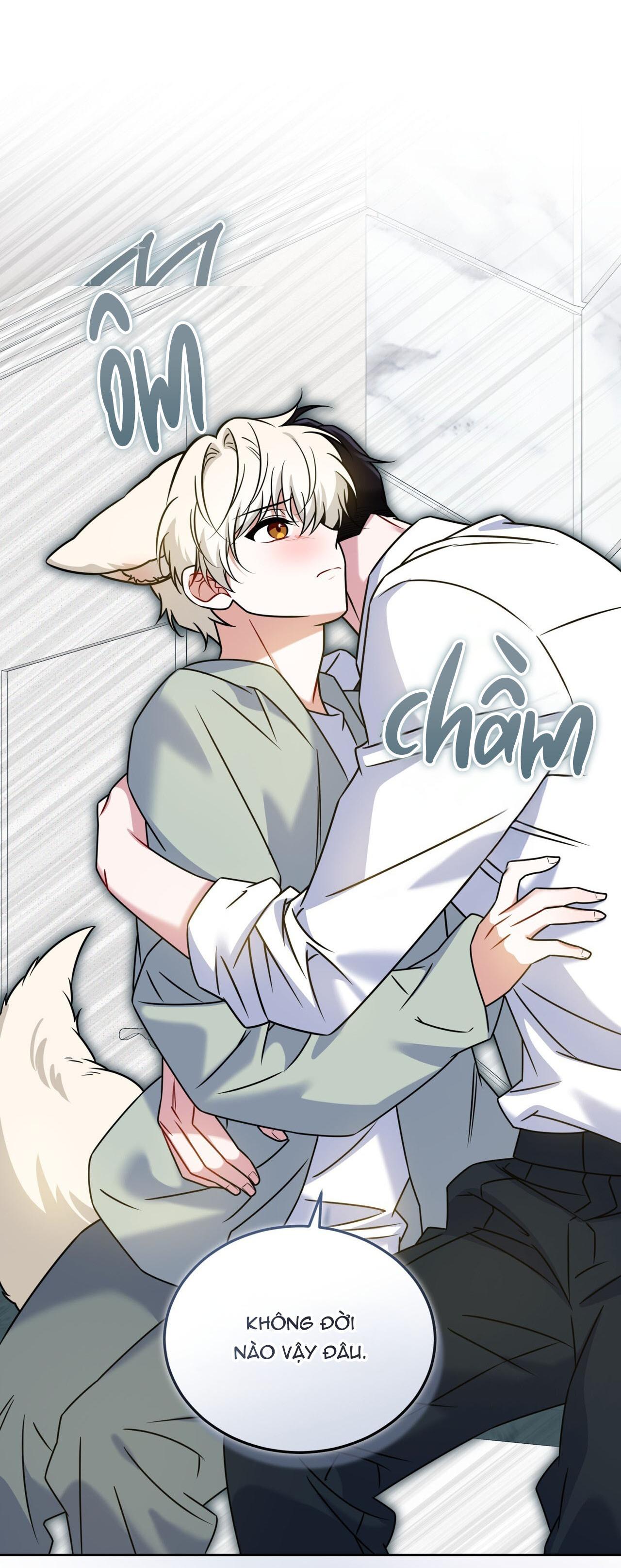 Đọc truyện NƯỚC UỐNG TÌNH YÊU CỦA CÁO PLIN - Chapter 47