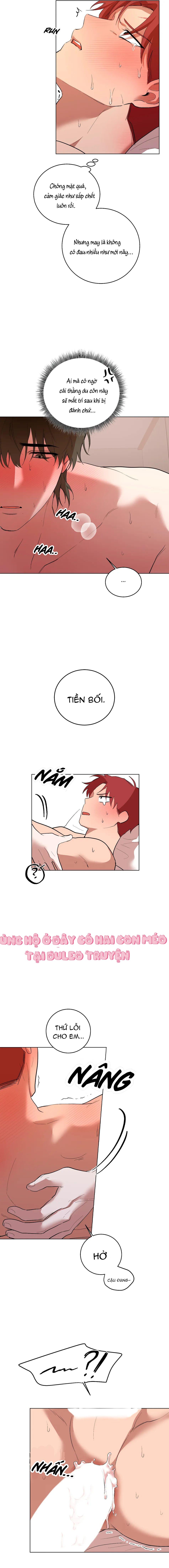 Đọc truyện Sự Hiểu Lầm - Chapter 5