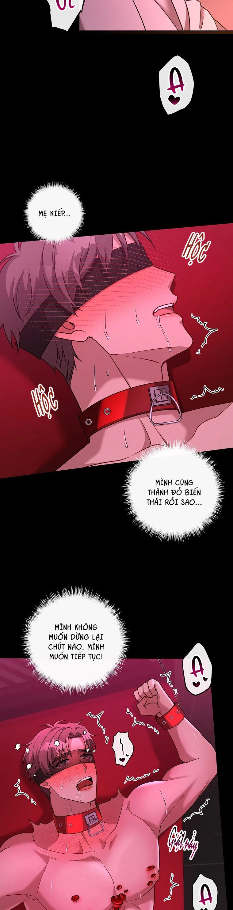 Đọc truyện THẾ CHẤP LỖ ĐÍT - Chapter 15
