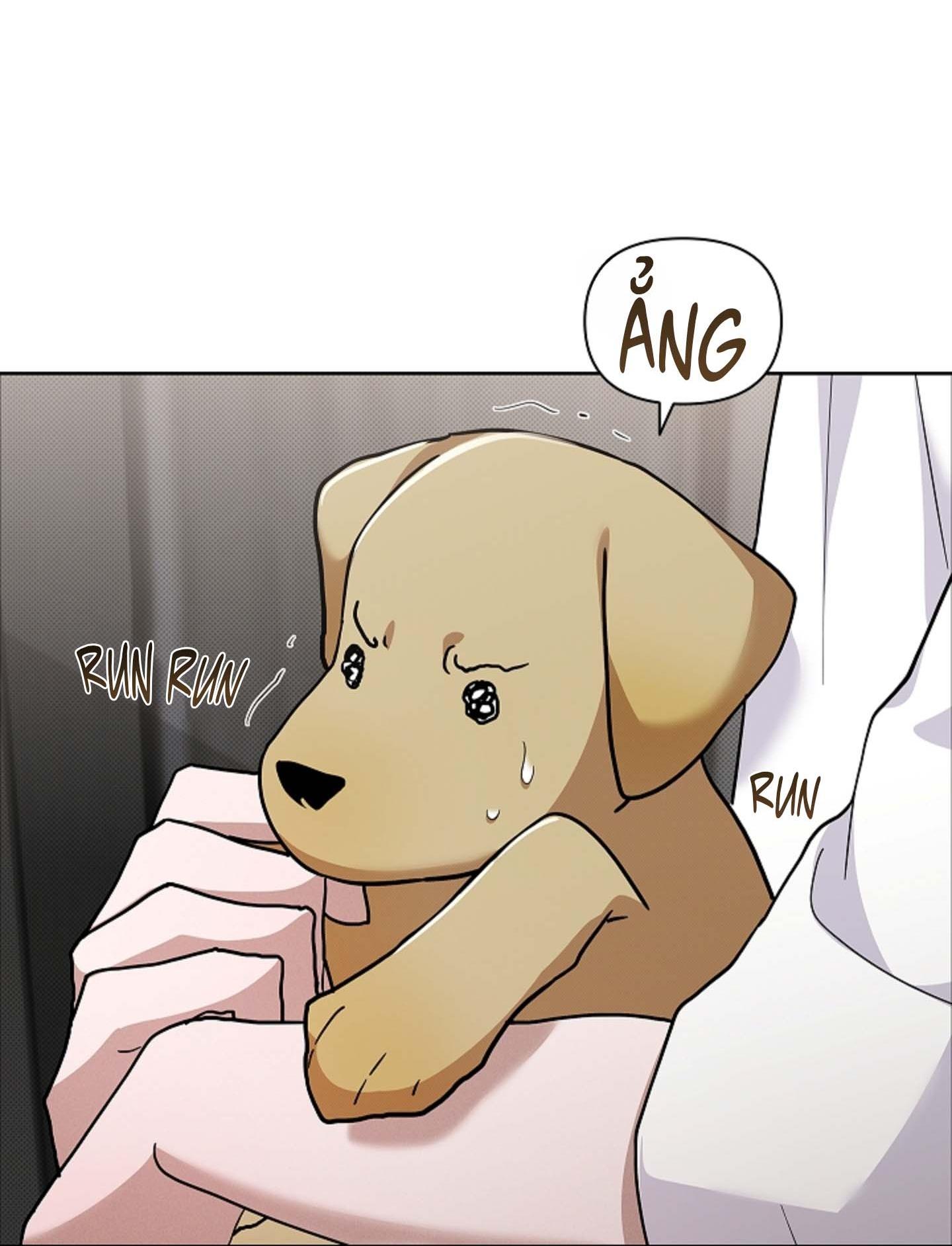 Đọc truyện ĐỪNG ĐỘNG VÀO CÚN CON! - Chapter 44.06