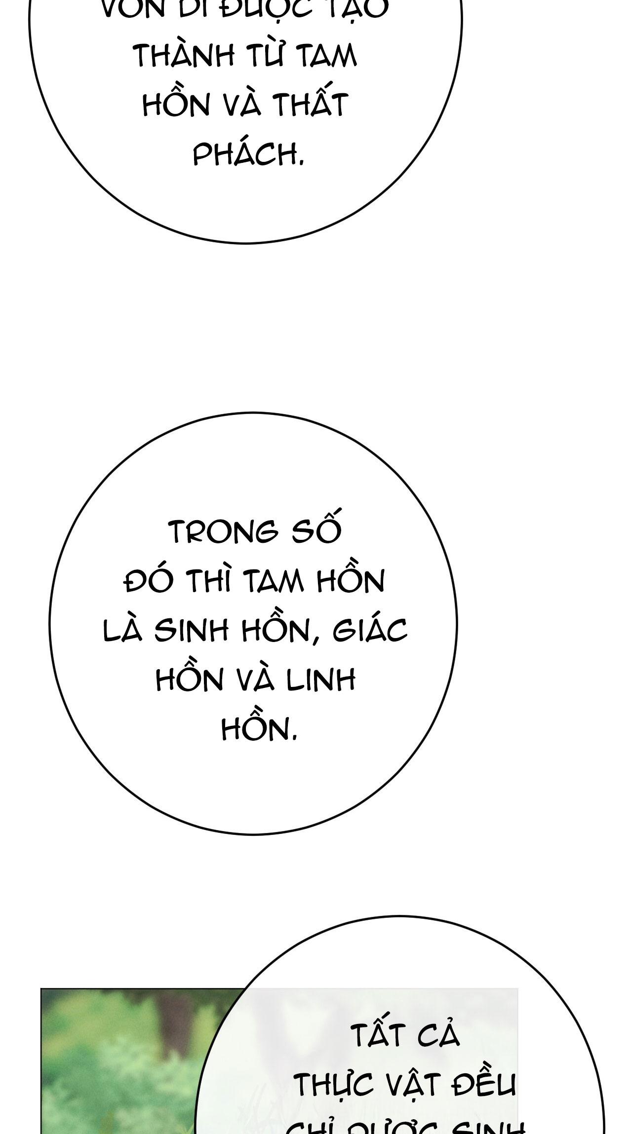Đọc truyện QUẺ BÓI GIẤC MƠ CỦA YÊU TINH - Chapter 58