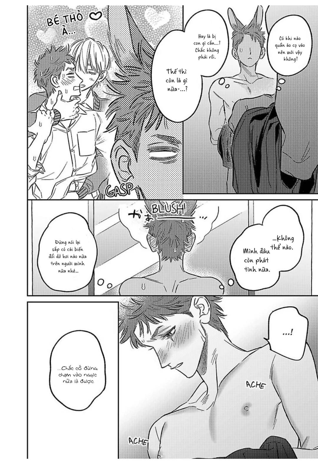 Đọc truyện Chàng Thỏ Ngọt Ngào - Chapter 5