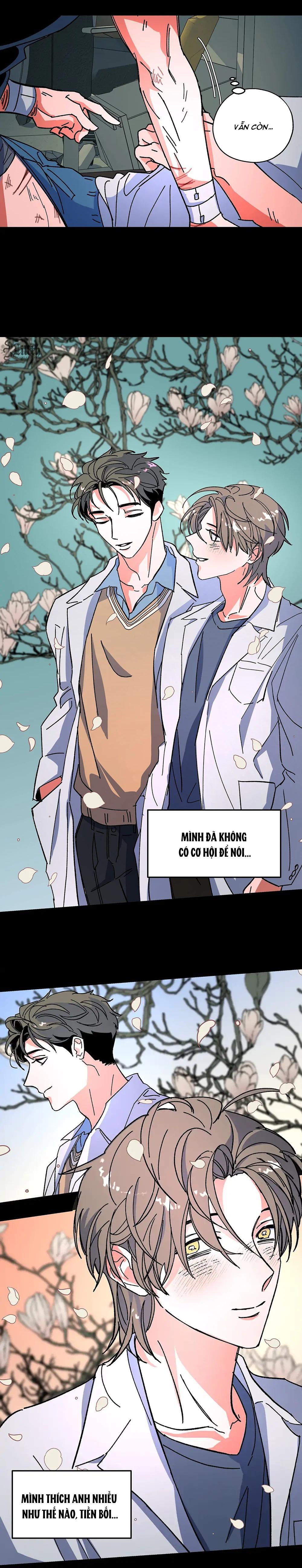Đọc truyện Kế Hoạch Trốn Thoát - Chapter 12