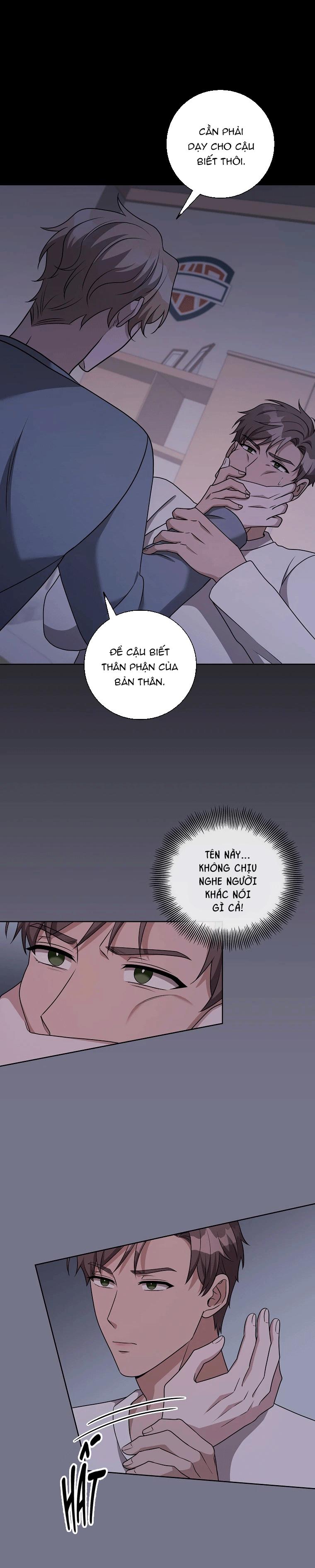 Đọc truyện THẾ CHẤP LỖ ĐÍT - Chapter 12