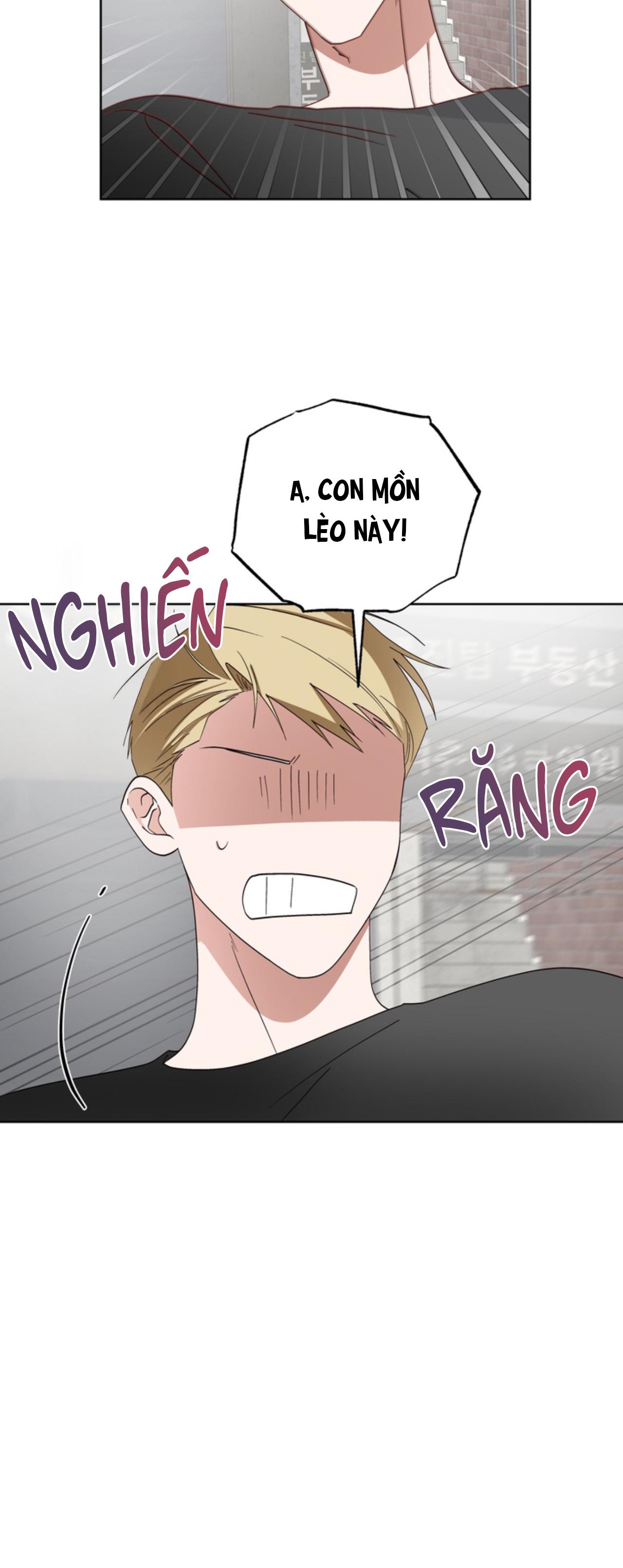Đọc truyện XIN HÃY YÊU THƯƠNG DÙ TÔI LÀ CHUỘT - Chapter 6
