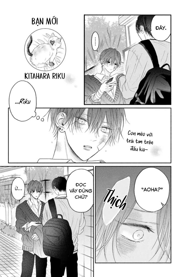 Đọc truyện Tình Yêu Không Thể Giấu - Chapter 4
