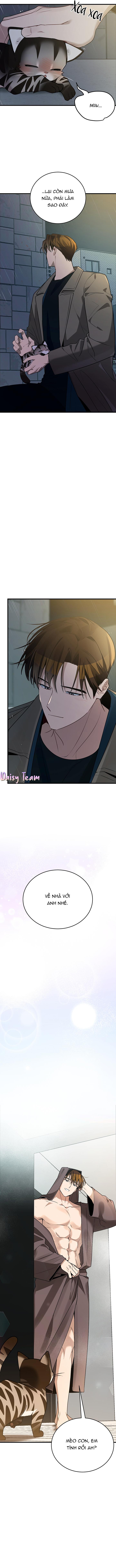Đọc truyện (Daisy) Sinh mèo con cho tôi mau trước khi thằng này điên lên - Chapter 2