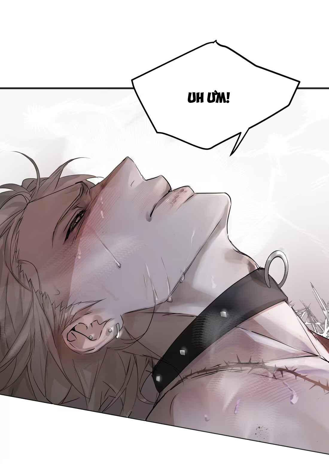 Đọc truyện (Daisy) Tôi Bị Chó Điên Phát Hiện Bản Thân Là Đồng Loại - Chapter 4
