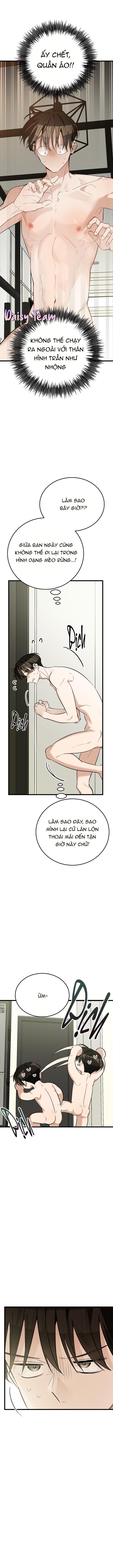 Đọc truyện (Daisy) Sinh mèo con cho tôi mau trước khi thằng này điên lên - Chapter 9