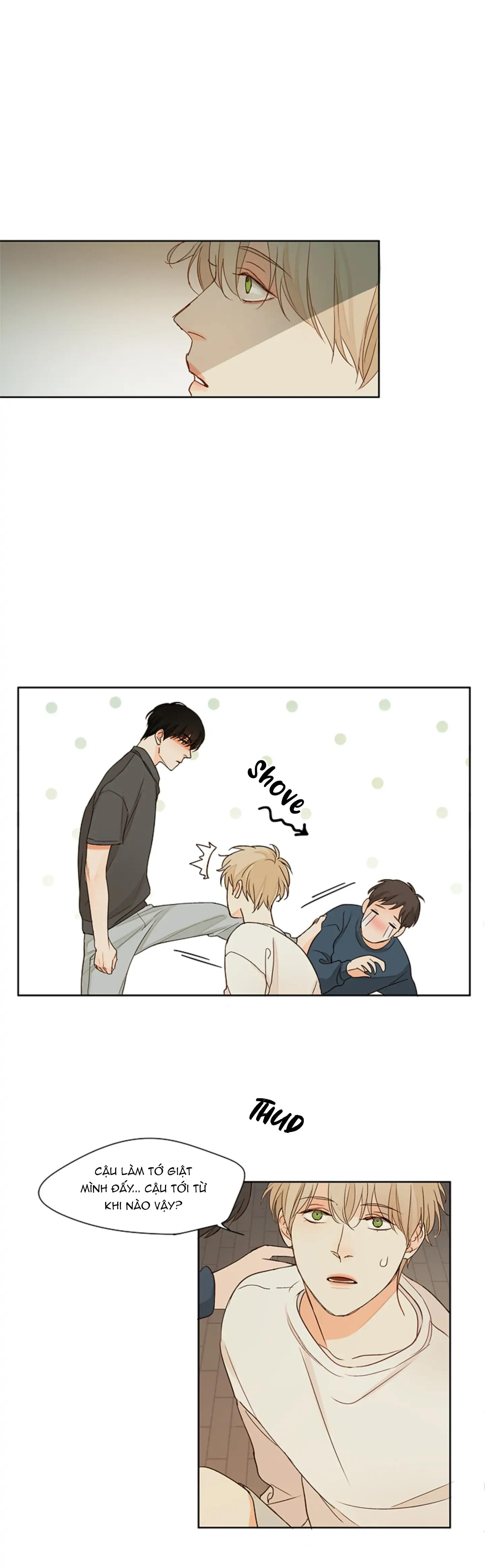 Ý Nghĩa Đằng Sau Ánh Mắt -  - Trang 8