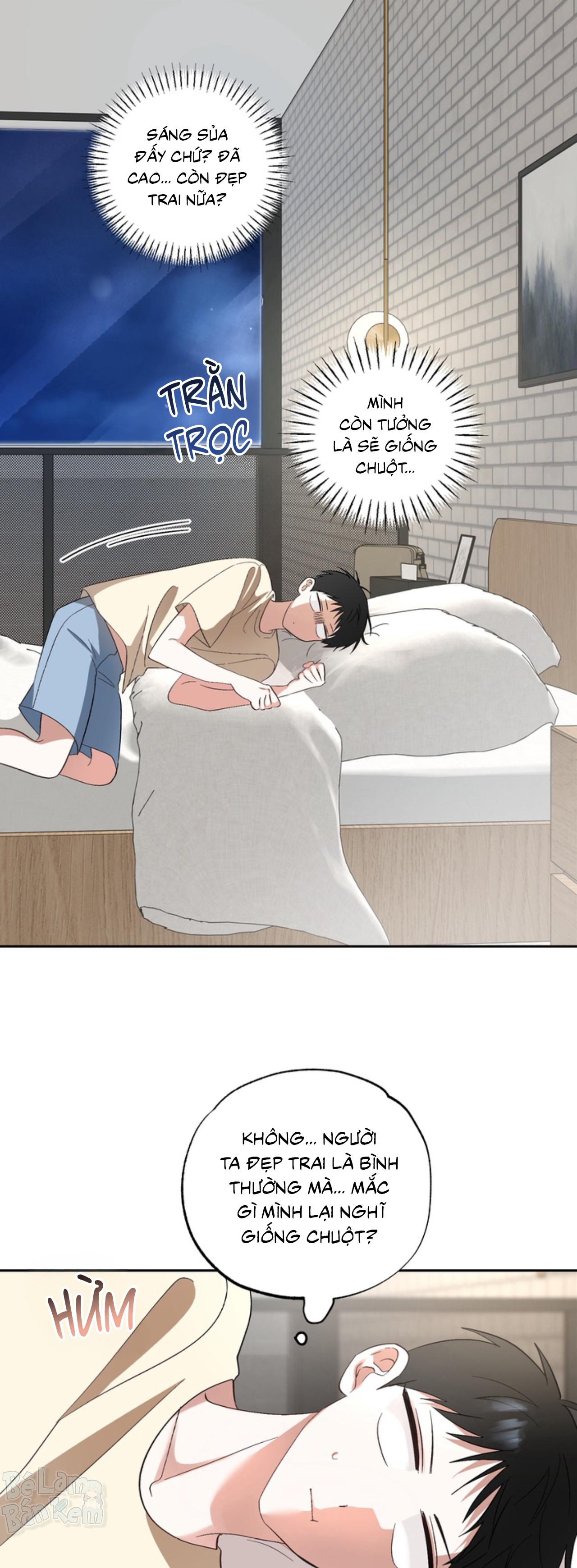 Đọc truyện XIN HÃY YÊU THƯƠNG DÙ TÔI LÀ CHUỘT - Chapter 5