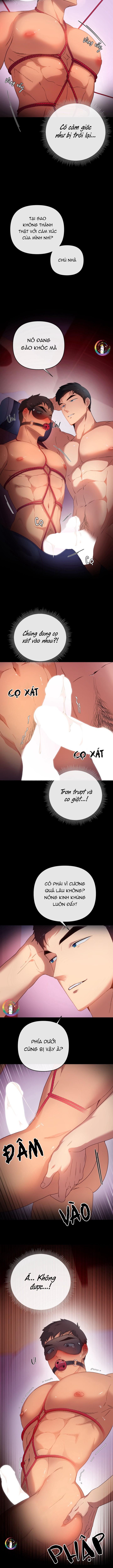 Đọc truyện Quay GV thôi! - Chapter 2