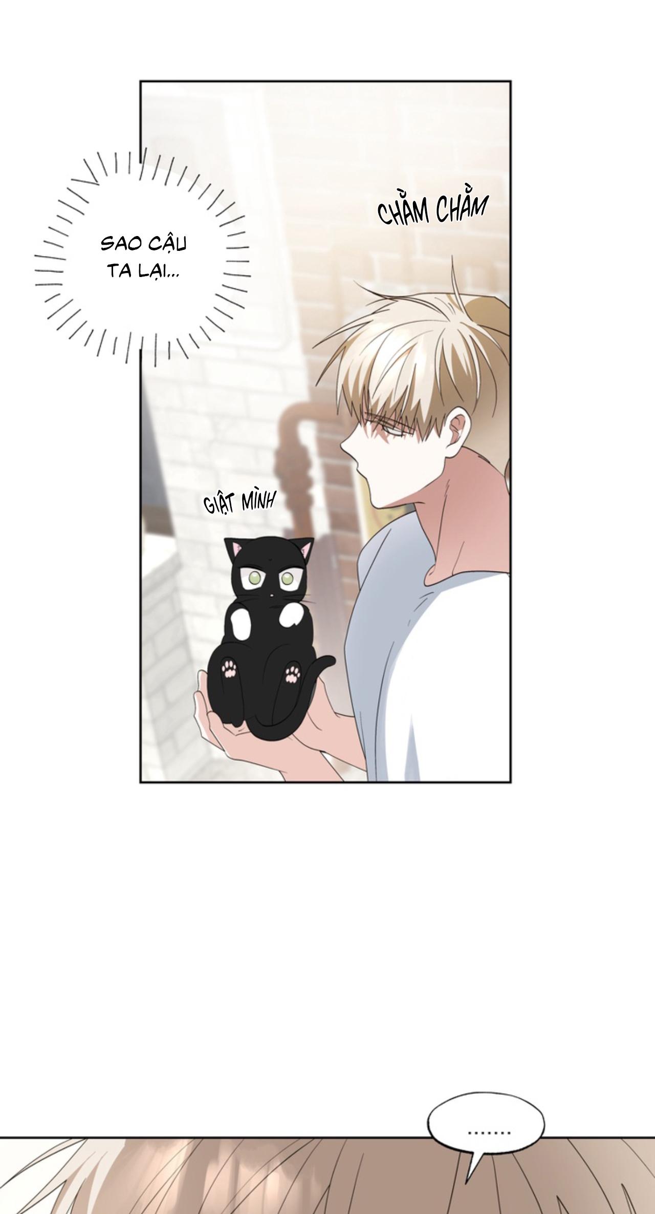 Đọc truyện XIN HÃY YÊU THƯƠNG DÙ TÔI LÀ CHUỘT - Chapter 6