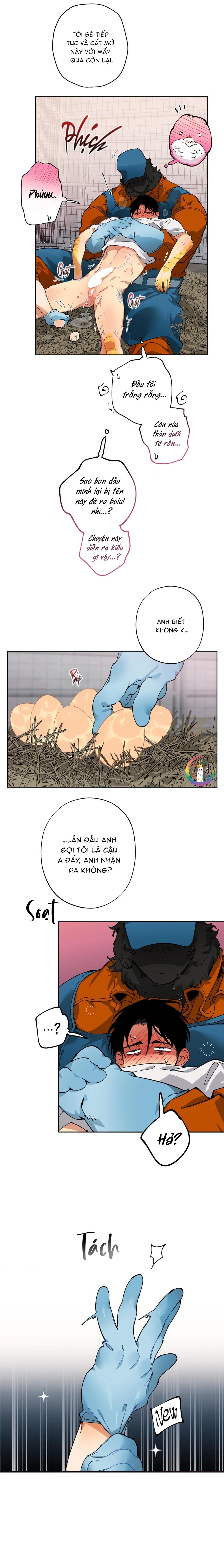 Đọc truyện Trang Trại Của Mr.A - Chapter 10