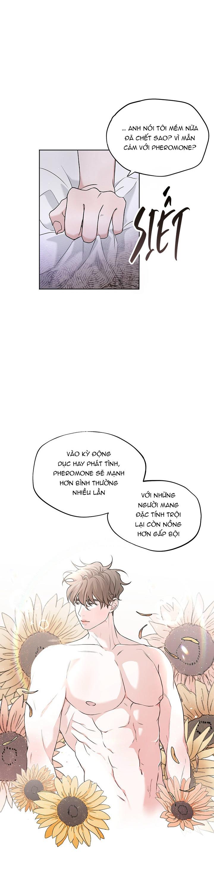 Đọc truyện TUYỂN TẬP ABO - MANG THAI NGẮN CỦA NHÀ SẸC - Chapter 70.6