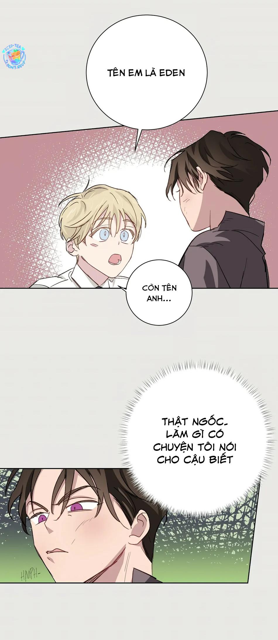 Đọc truyện Phù Thủy Xứ Eden - Chapter 22