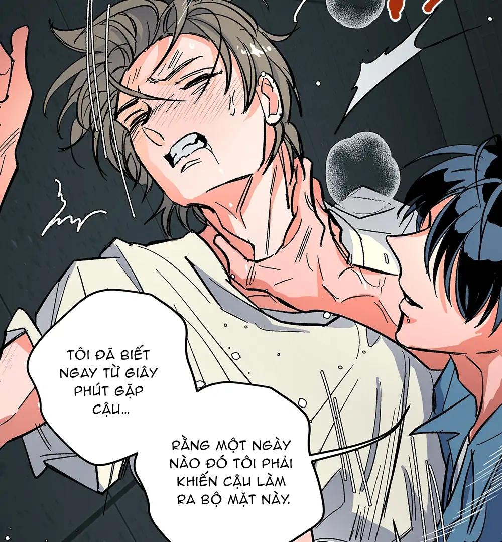 Đọc truyện Kế Hoạch Trốn Thoát - Chapter 5