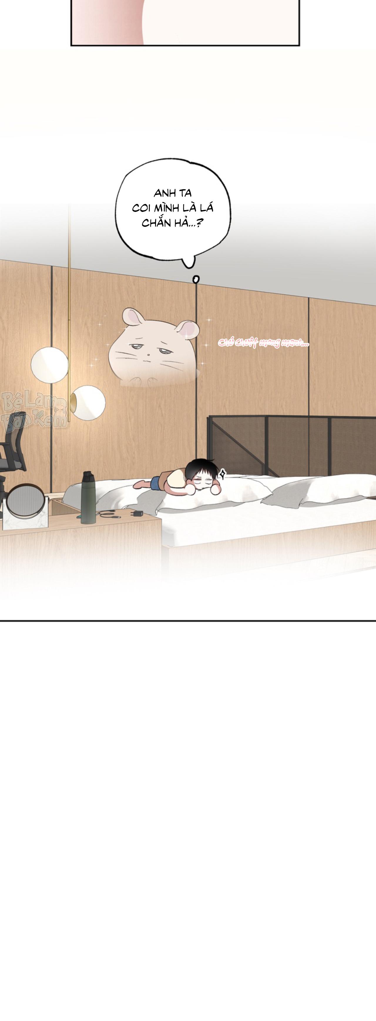 Đọc truyện XIN HÃY YÊU THƯƠNG DÙ TÔI LÀ CHUỘT - Chapter 5