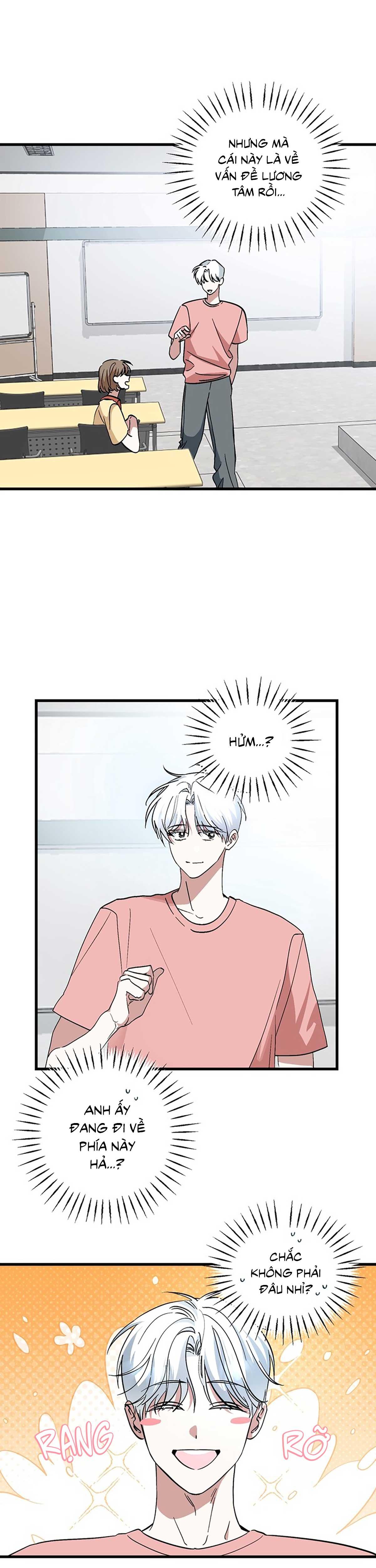 Đọc truyện XIN HÃY YÊU THƯƠNG DÙ TÔI LÀ CHUỘT - Chapter 1