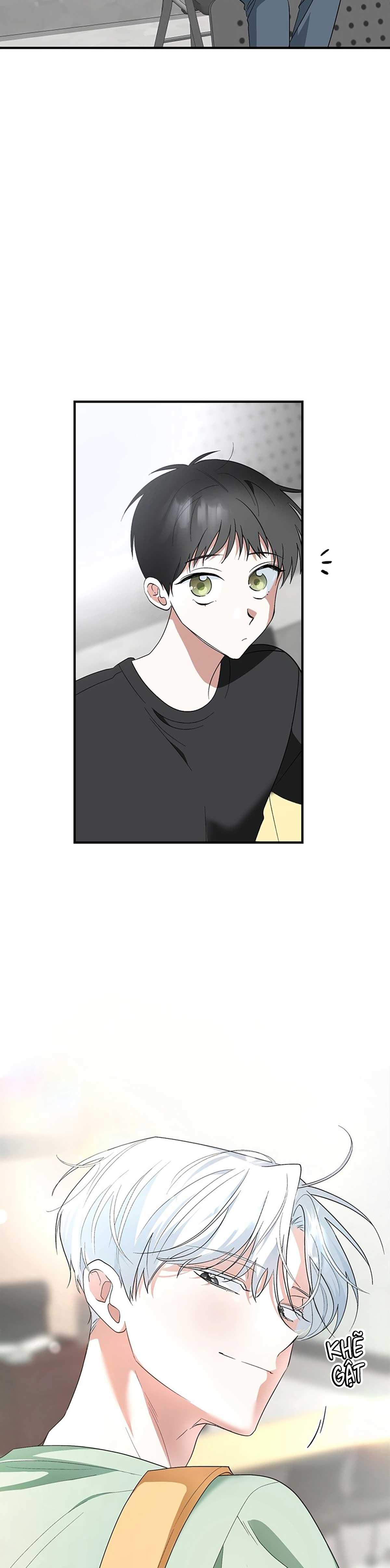 Đọc truyện XIN HÃY YÊU THƯƠNG DÙ TÔI LÀ CHUỘT - Chapter 1