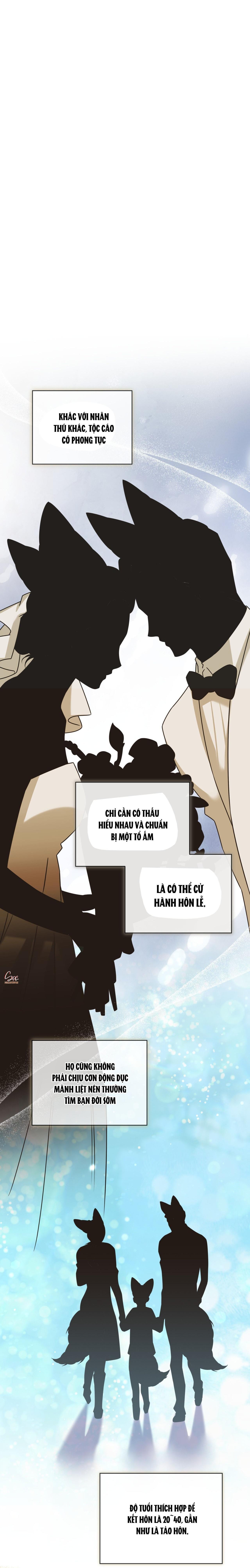 Đọc truyện NƯỚC UỐNG TÌNH YÊU CỦA CÁO PLIN - Chapter 47