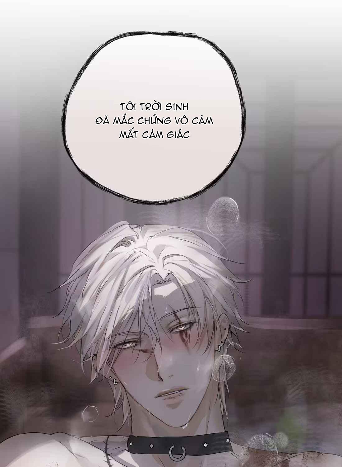 Đọc truyện (Daisy) Tôi Bị Chó Điên Phát Hiện Bản Thân Là Đồng Loại - Chapter 4