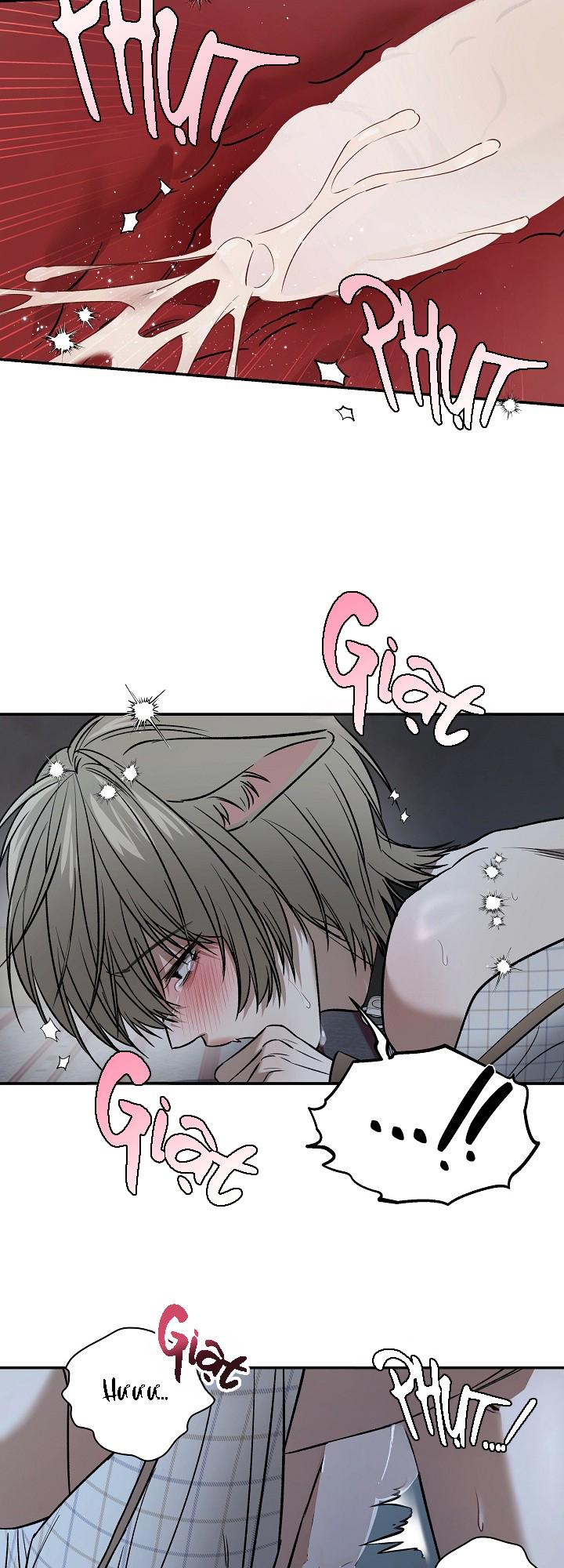 Đọc truyện BỐ VÀ TÔI - Chapter 5