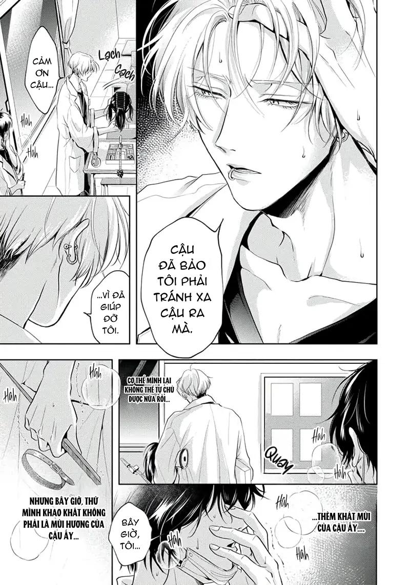 Đọc truyện Mùi Hương Khó Cưỡng - Chapter 3