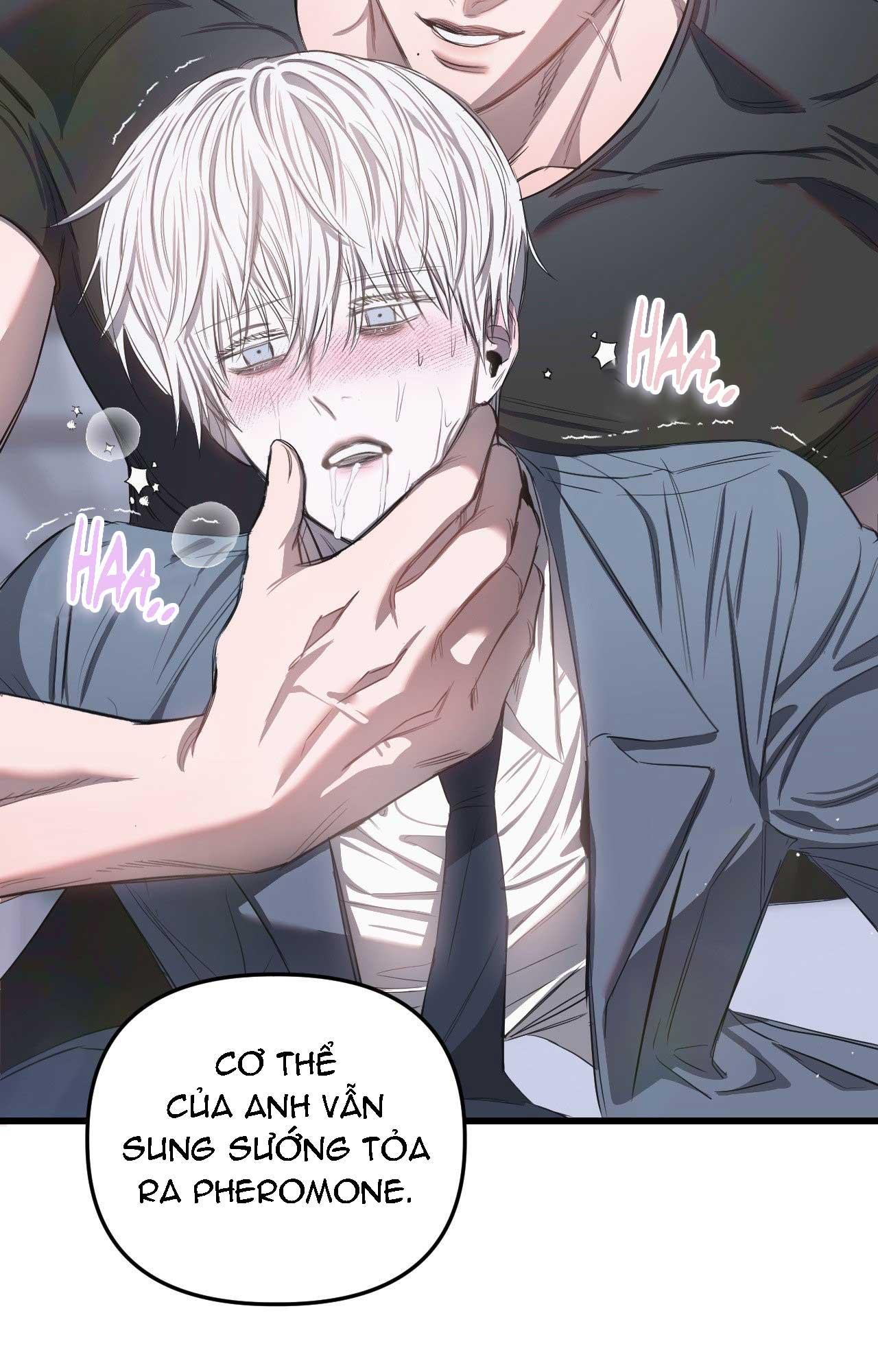 Đọc truyện (ABO) VẬT TẾ THẦN - Chapter 12