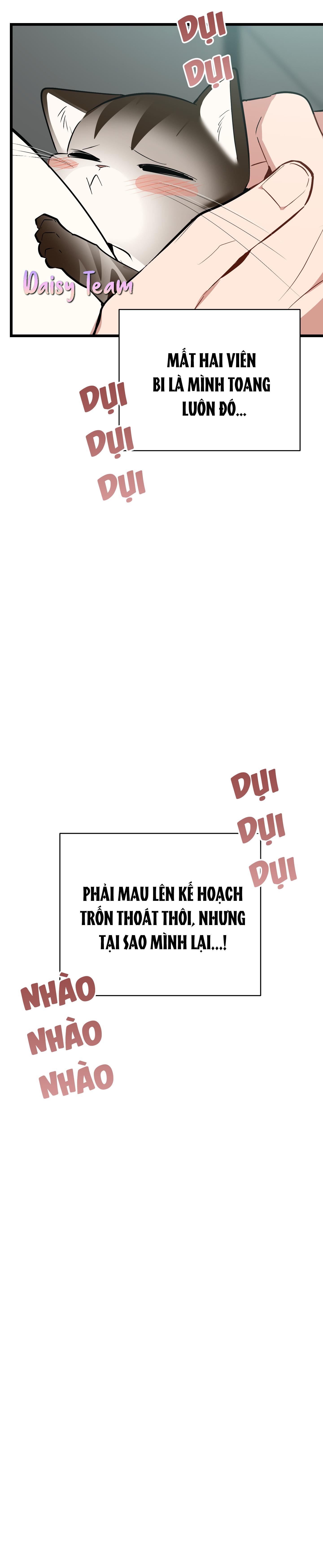 Đọc truyện (Daisy) Sinh mèo con cho tôi mau trước khi thằng này điên lên - Chapter 8