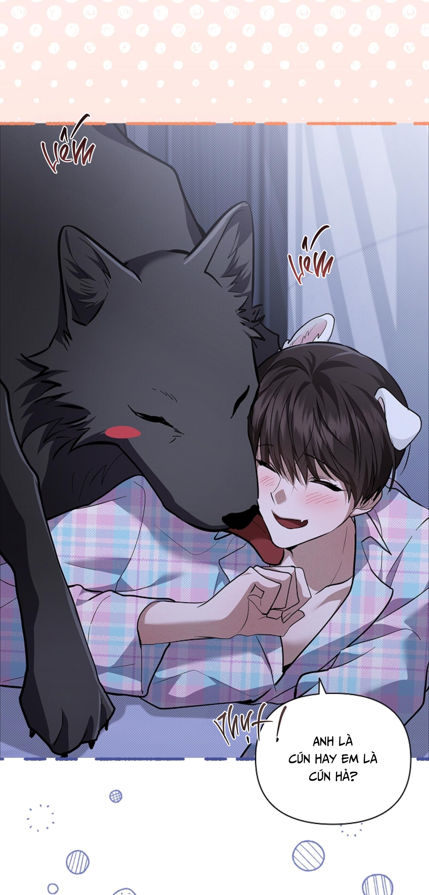 Đọc truyện ĐỪNG CHẠM VÀO CÚN CON CỦA TÔI - Chapter 50