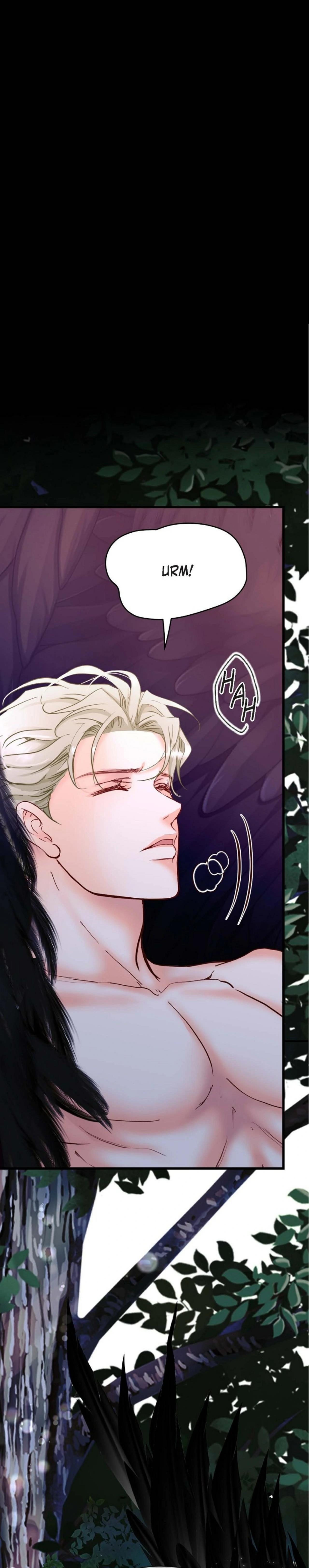 Đọc truyện Hôn Thê Của Bóng Tối - Chapter 17
