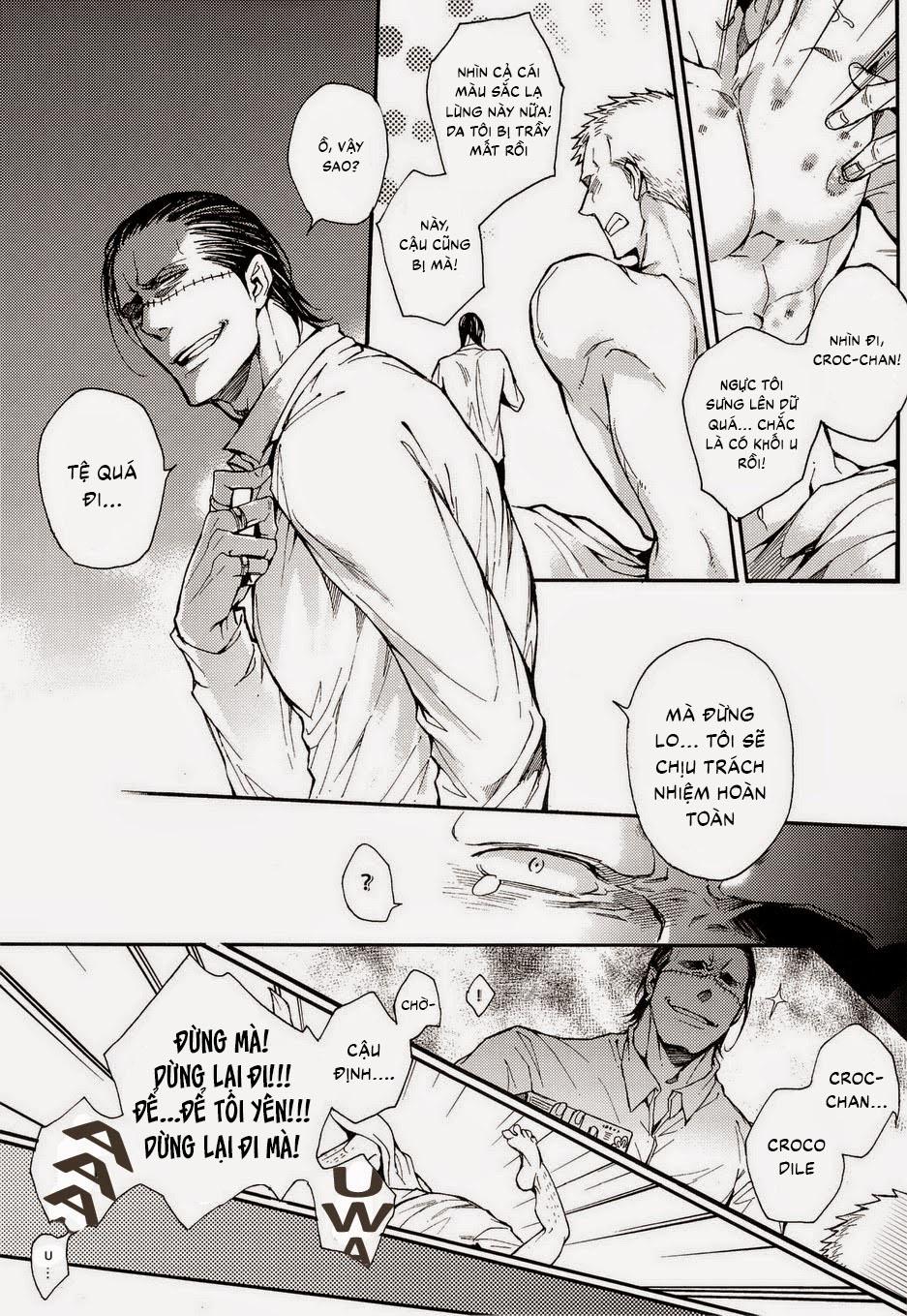 Đọc truyện Tuyển tập Onepiece - Chapter 17