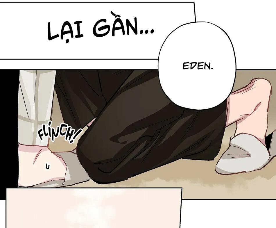 Đọc truyện Phù Thủy Xứ Eden - Chapter 16
