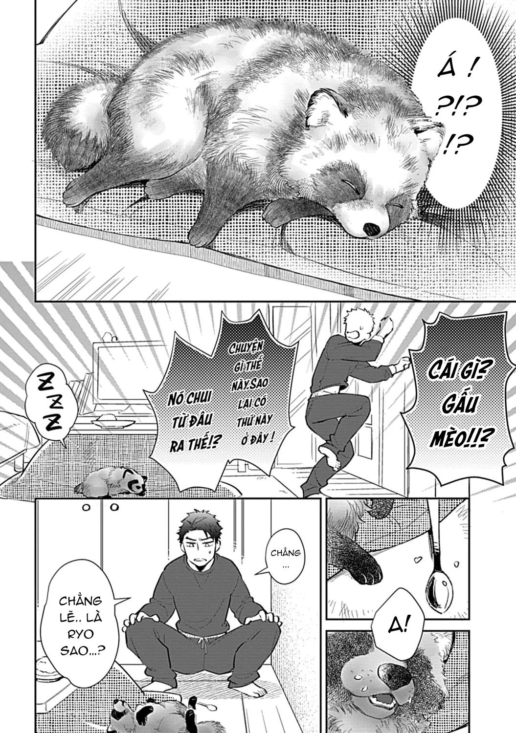 Đọc truyện Trở Thành Một Gia Đình Cùng Hai Anh Em Tanuki - Chapter 1