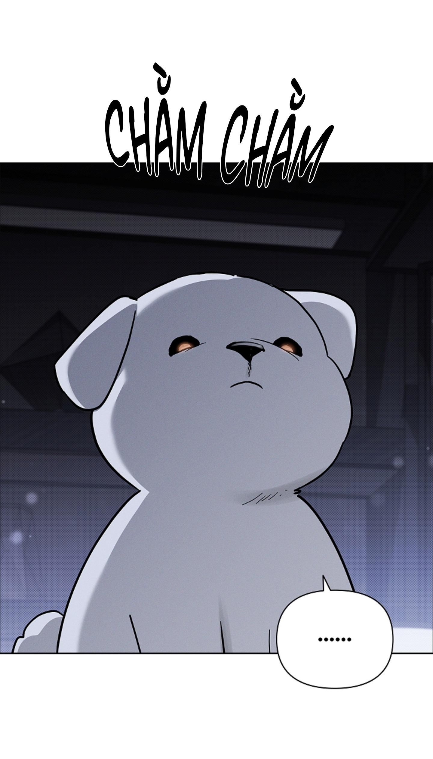Đọc truyện ĐỪNG ĐỘNG VÀO CÚN CON! - Chapter 44.05