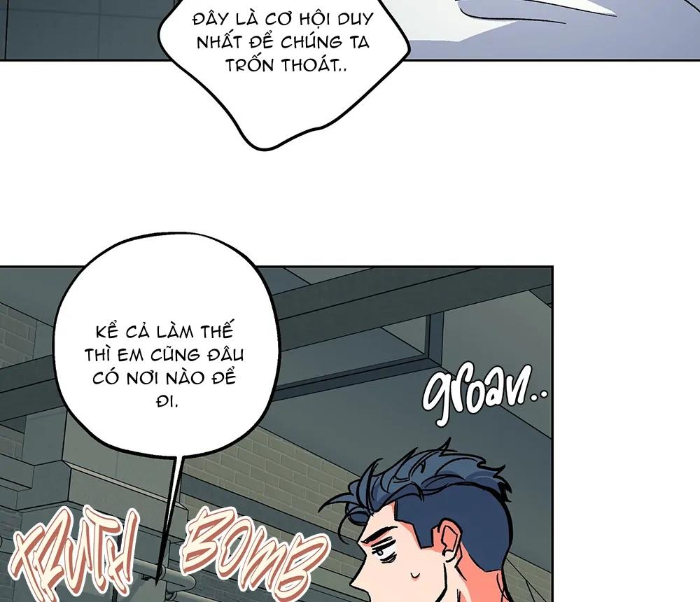 Đọc truyện Kế Hoạch Trốn Thoát - Chapter 5