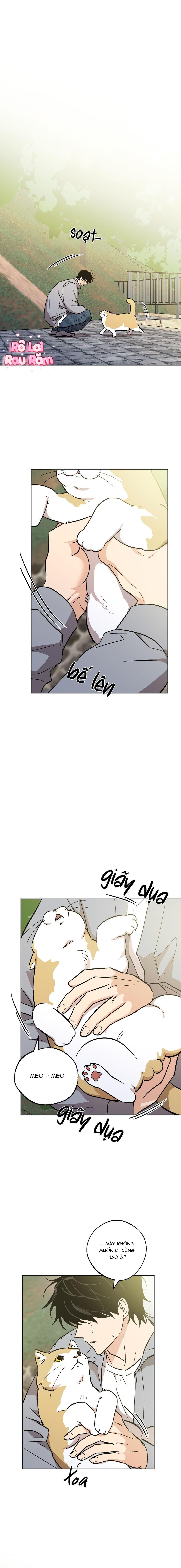 Đọc truyện NGHI LỄ CẦU NGUYỆN - Chapter 31