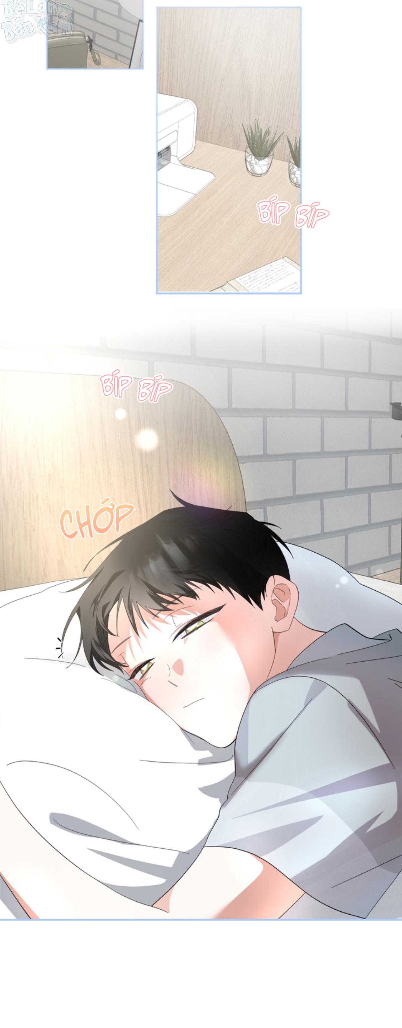 Đọc truyện XIN HÃY YÊU THƯƠNG DÙ TÔI LÀ CHUỘT - Chapter 6