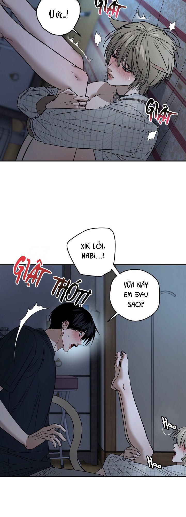 Đọc truyện BỐ VÀ TÔI - Chapter 5