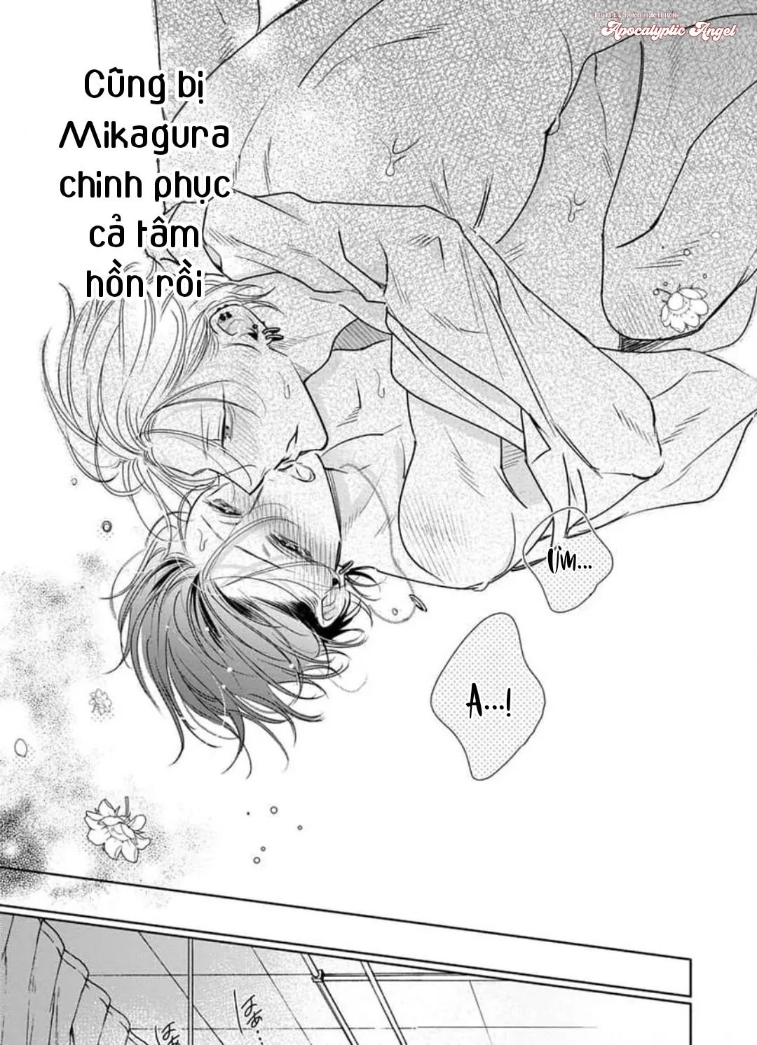 Đọc truyện Ngọn Giáo Bất Bại VS Tấm Khiên Bất Phá - Chapter 5