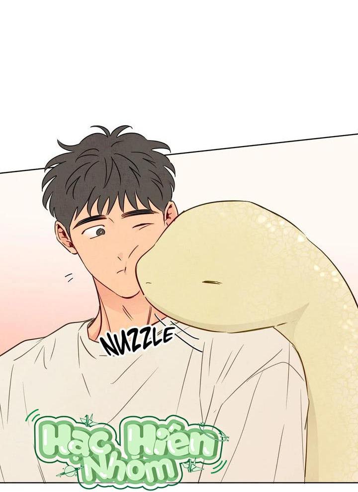 Đọc truyện Sự quyến rũ của Thần Rắn - Chapter 50